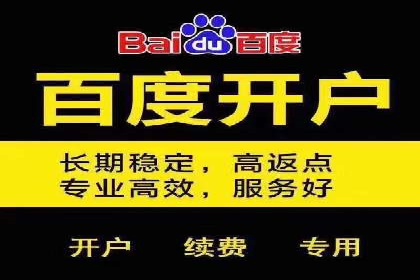 某电商平台信息流广告的精准推广策略